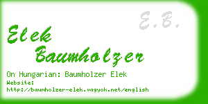 elek baumholzer business card